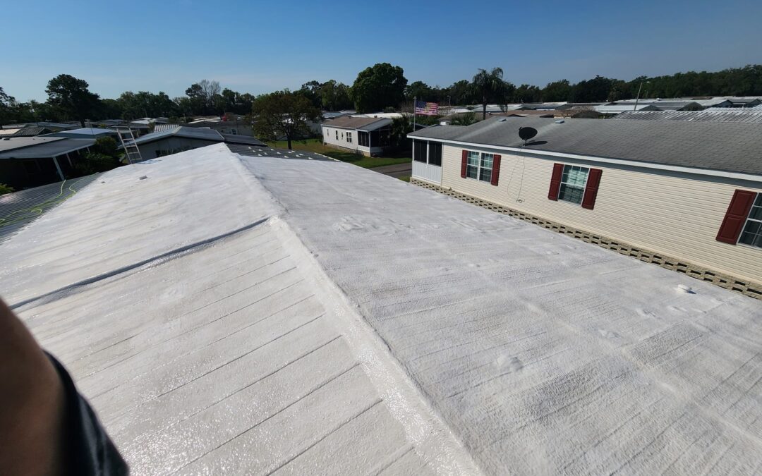 Roof Soft Wash – Winter Haven