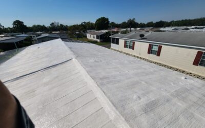 Roof Soft Wash – Winter Haven